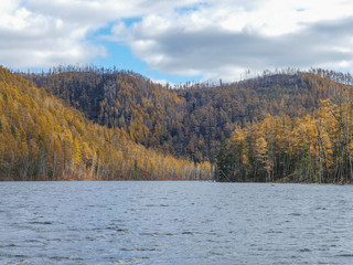 mountains covered with autumn forest and a wide river