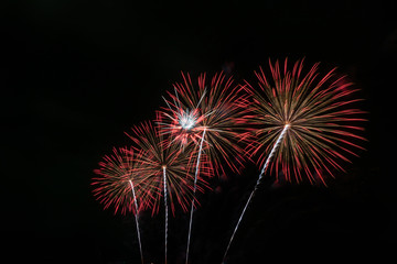 Fototapeta premium Colorful fireworks of various colors at night with celebration and anniversary concept