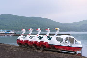 duck Pedal boats at Lake Kawaguchiko Mount Fuji is a popular recreational site for boating