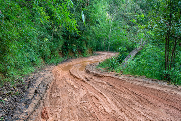 road wet muddy of backcountry countryside in rainy day - Powered by Adobe