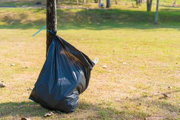 garbage bag tied to a treein the park on green grass