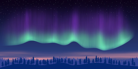 Fantasy on the theme of the northern landscape. Night and polar lights. Vector illustration, EPS10