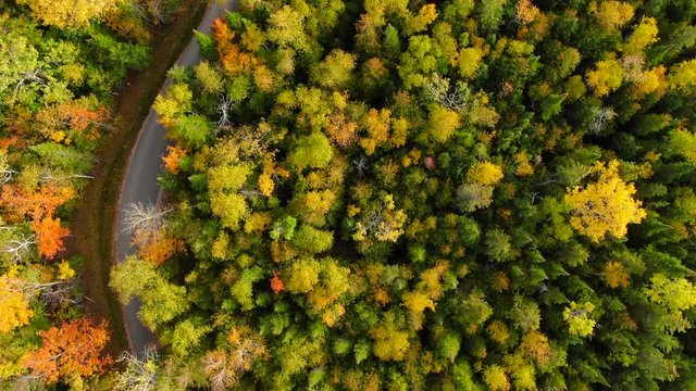 Beautiful fall landscape over looking Northern Michigan in peak colors looking down on trees winding road leads to adventure