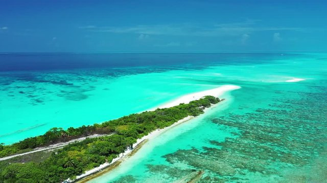 Blackadore Caye In Belize, Caribbean Island - Tropical Paradise Of Green Trees On Long Desolate Sandbar With Stunning Scenery Of Coral Reefs Under The Bright Blue Shallow Sea Water - Aerial Shot