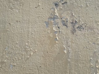 Paint peeling plaster walls because of its use for a long time. Alternatively, use quality color to paint the walls. Must be repaired in order to come back again.