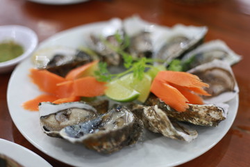 Fototapeta na wymiar Fresh and clean oysters Can eat.