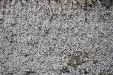texture of old gray concrete wall