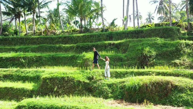 A Field In The Philippines - Couple Walking While Holding Hands In The Green Field Under The Heat Of The Sun - Wide Shot
