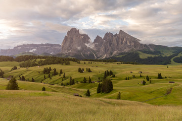Fototapeta na wymiar Sunrise and with morning mist among the meadow in Alpe di Siusi, Natural landscapes in Dolomites, Italy