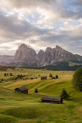 Sunrise and with morning mist among the meadow in Alpe di Siusi, Natural landscapes in Dolomites, Italy
