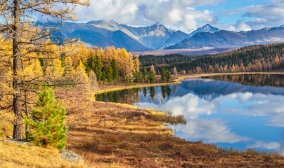 View of the forest lake, Altai, Siberia. Bright autumn day. Taiga, beautiful sky and reflection in the water.