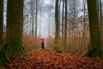 A woman with red umbrella and bag is in a forest. She walks alone among old trees. Concept: loneliness