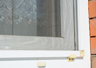 Close up on house window mosquito net protection