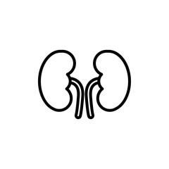 Kidneys Vector Line Icon