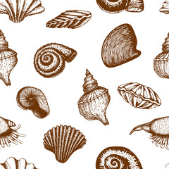 vector seamless seashell pattern isolated on white. vintage Hand drawn background of various beautiful engraved mollusk marine shells. Realistic sketch of cockleshell like conch, oyster, clam, scallop