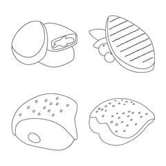 Isolated object of food and grilled symbol. Collection of food and bird stock vector illustration.