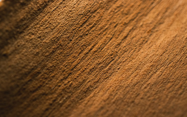 texture of wood