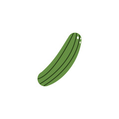 vegetable cucumber flat style icon