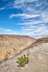 Fototapeta na wymiar Desert landscape in Death Valley National Park, USA.