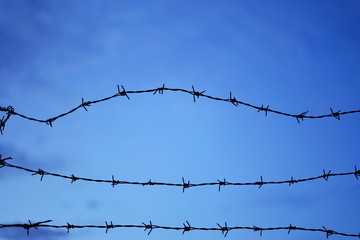 Fototapeta na wymiar barbed wire on blue sky background