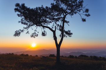 Fototapeta na wymiar Morning light, sunrise on the mountain - morning nature