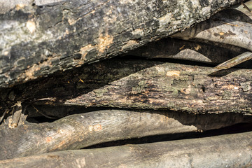 Woods ready for cold winter. Preparation for hard weather conditions. Winter is coming concept.