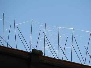 Effetti di luce