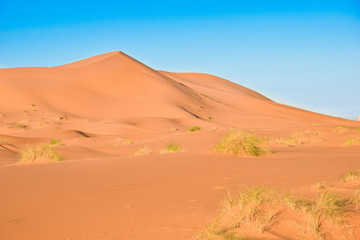 Fototapeta na wymiar Sahara Desert, dunes in Morocco