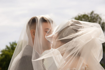 Bride and groom kisses under the wedding veil