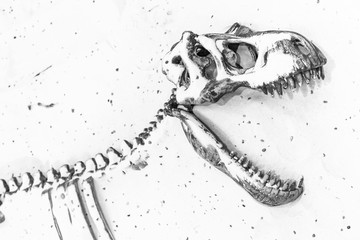 dinosaur fossils