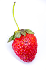 Isolated single strawberry.