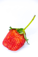 Strawberry rot on a white background.