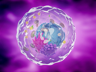 3d rendered illustration of a healthy human cell