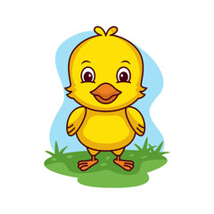 Little chicken vector cartoon illustration