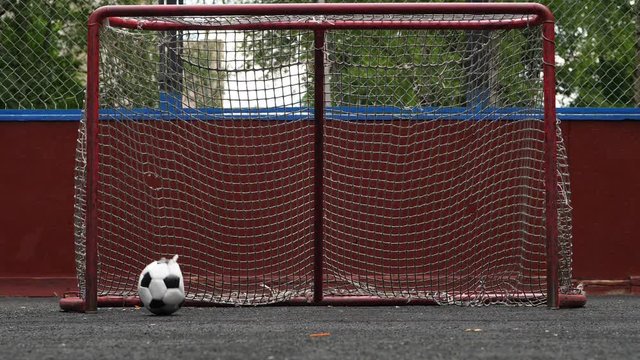 Deflated ball thrown to goal but miss and fall near with gate post, slow motion shot. Punctured ball roll towards unprotected small gate but fail to score, though.