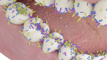 3d rendered conceptual illustration showing the bacteria on the teeth