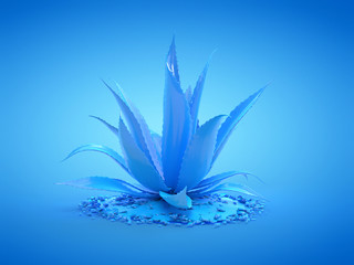 3d rendered illustration of a blue aloe vera plant