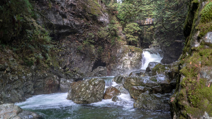 waterfall in the forest