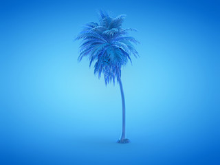 3d rendered illustration of a blue palm tree