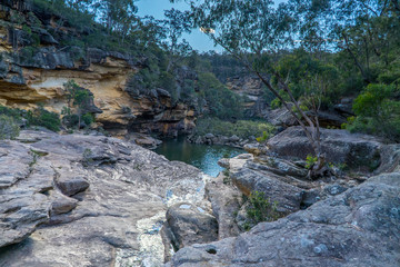 billabong in the bush