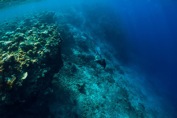 Free diver dive in deep ocean, underwater view with rocks and corals. Freediving