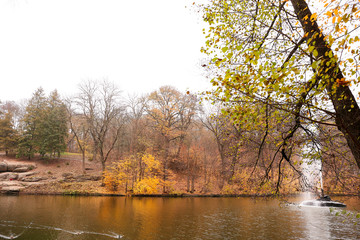 Fototapeta na wymiar View of beautiful pond in autumn park