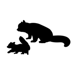 Silhouette of red Panda and young little red Panda