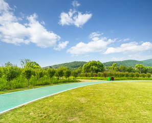 Green grass and trees in the nature park