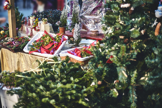 Christmas decorations and evergreens at the Christmas market in Spain, Barcelona