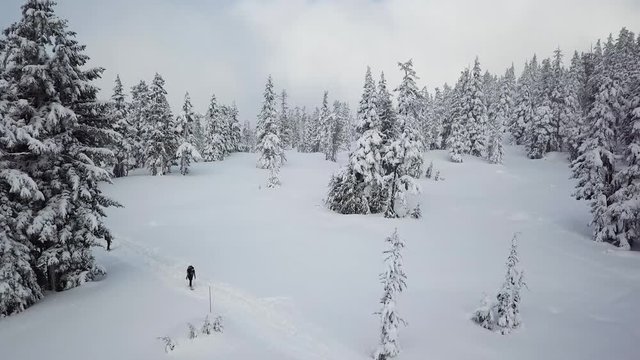 Ski tours and splitboarding in Garibaldi Provincial Park in Squamish, British Columbia, Canada