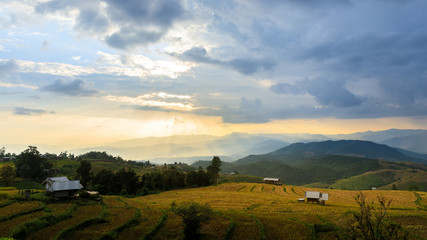 Obraz premium Beautiful landscape view of rice terraces in chiang mai , Thailand. Rice seedling on terrace rice fields with sunbeam.
