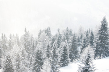 Obraz premium Winter landscape with forest