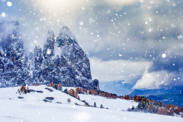 Beautiful Winter at Alpe di Siusi, Seiser Alm - Italy - Holiday background for Christmas. 