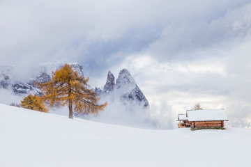 Beautiful Winter and Holiday background for Christmas with larch trees and snow. 